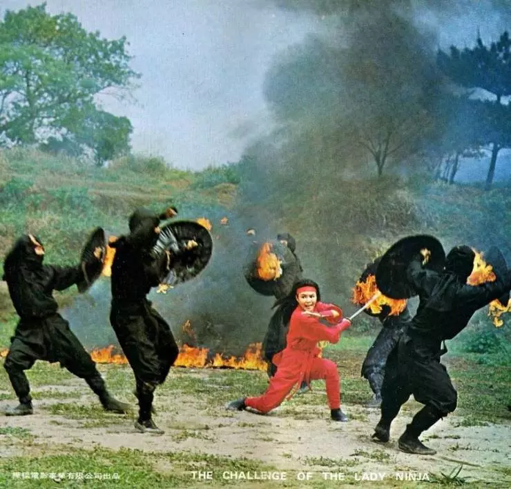 Кадр из Задание леди-ниндзя (1983) Кадр из Задание леди-ниндзя (1983)