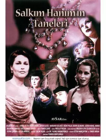 Драгоценности госпожи Салким / Salkim Hanim'in Taneleri (1999)