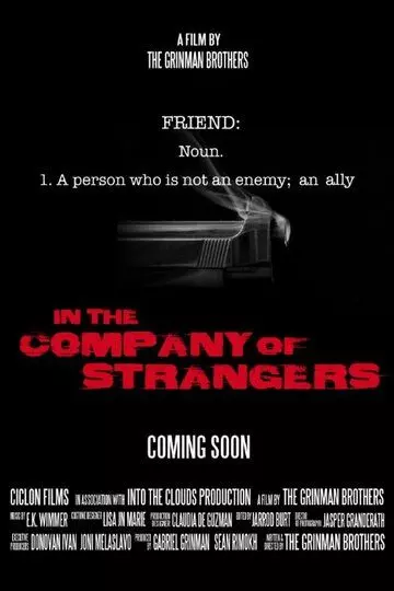 В компании незнакомцев / In the Company of Strangers (2020)