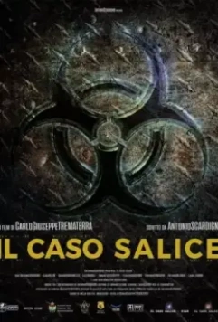 Дело Саличе / Salice’s case (2020)
