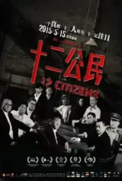 12 граждан / 12 Citizens (2014)