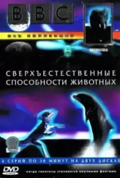 BBC: Сверхъестественные способности животных / Supernatural (1999)