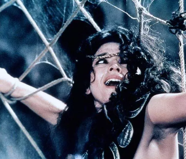 Кадр из Непобедимый Атор (1982) Кадр из Непобедимый Атор (1982)