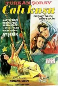 Королек - птичка певчая / Çalikusu (1966)