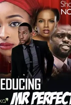 Соблазнить мистера Совершенство / Seducing Mr. Perfect (2019)