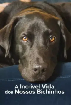 Тайная жизнь питомцев / The Hidden Lives of Pets (2022)
