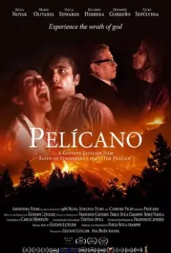 Пеликан / Pelícano (2019)