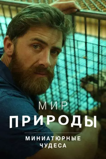 Мир природы. Миниатюрные чудеса / Nature's Miniature Miracles (2017)