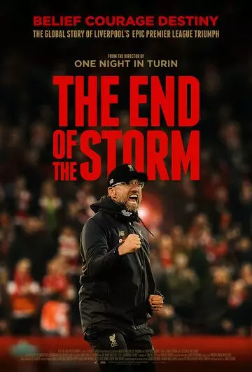 Конец шторма / The End of the Storm (2020)