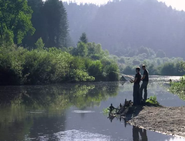 Кадр из Секвойи вечнозелены (2009) Кадр из Секвойи вечнозелены (2009)