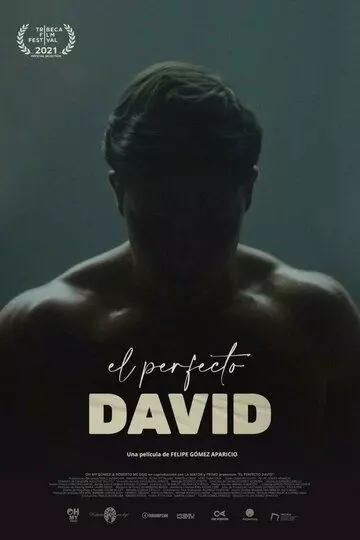 Идеальный Давид / El perfecto David (2021)