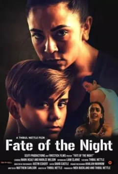 Судьбоносная ночь / Fate of the Night (2022)
