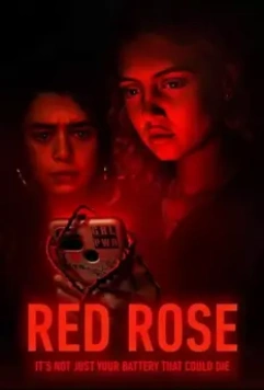 Красная роза / Red Rose (2022)
