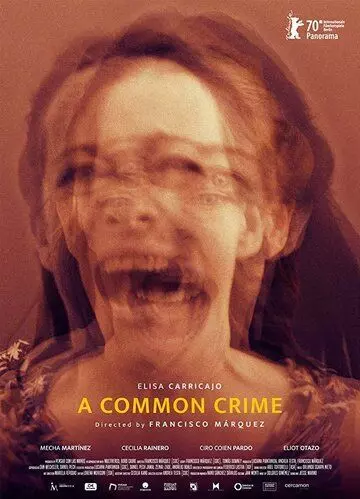 Обычное преступление / Un crimen común (2020)