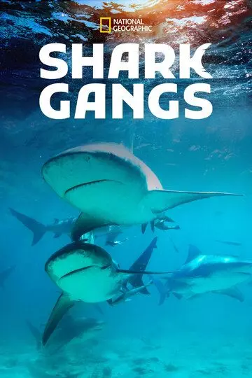 Акульи банды / Shark Gangs (2021)