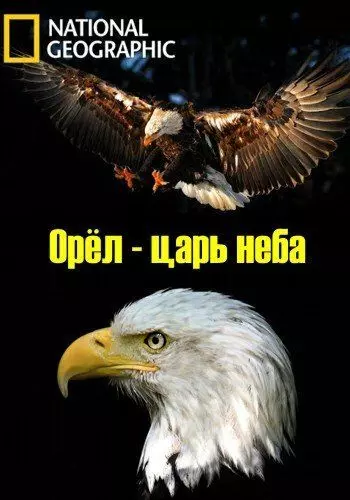 Орёл - царь неба / The Eagles (2014)