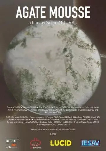 Моховой агат / Agate mousse (2021)