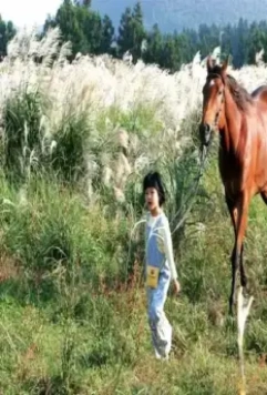 Кадр из Кусочки сахара (2006) Кадр из Кусочки сахара (2006)
