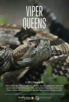 Королевы гадюк / Viper Queens (2016)