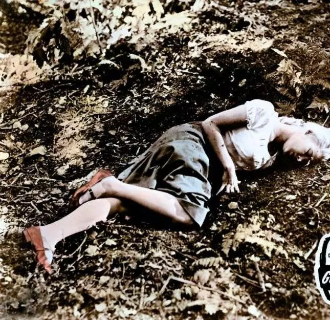 Кадр из Пэйтон Плейс (1957) Кадр из Пэйтон Плейс (1957)