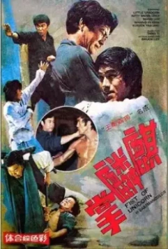 Брюс Ли и я / Qi lin zhang (1976)