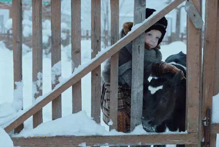Кадр из Телёнок (2019) Кадр из Телёнок (2019)
