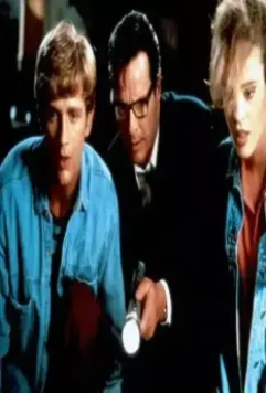 Кадр из Повелитель кукол 5: Последняя глава (1994) Кадр из Повелитель кукол 5: Последняя глава (1994)