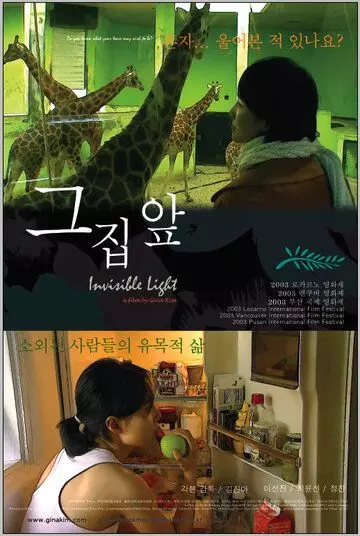 Невидимый свет / Invisible Light (2003)
