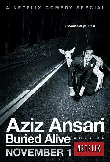 Азиз Ансари: Погребённый заживо / Aziz Ansari: Buried Alive (2013)