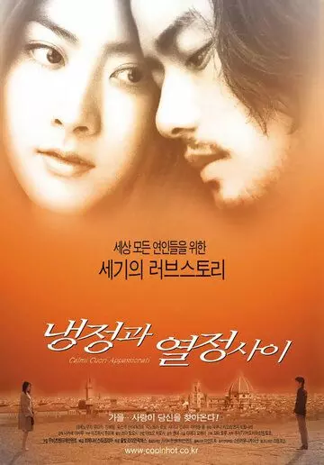 Между спокойствием и страстью / Reisei to jônetsu no aida (2001)