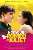 Не твои Ромео и Джульетта / Not Your Romeo & Juliet (2023)