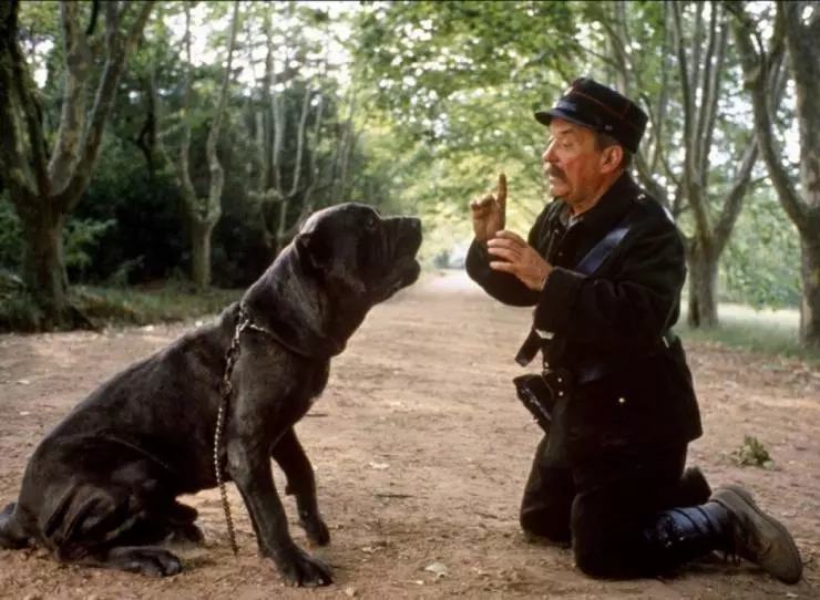 Кадр из Замок моей матери (1990) Кадр из Замок моей матери (1990)