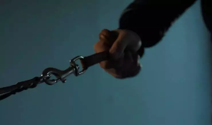 Кадр из Статус (2023) Кадр из Статус (2023)