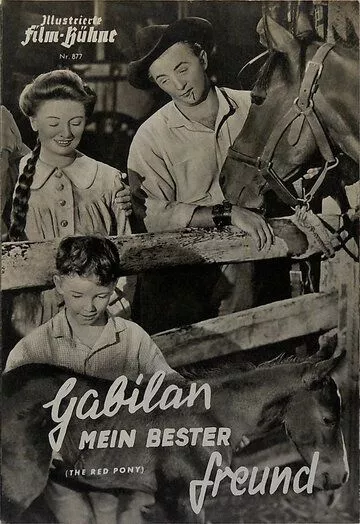 Рыжий пони / The Red Pony (1949)