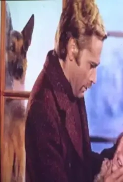 Кадр из Возвращение Белого Клыка (1974) Кадр из Возвращение Белого Клыка (1974)