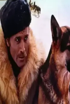 Кадр из Возвращение Белого Клыка (1974) Кадр из Возвращение Белого Клыка (1974)