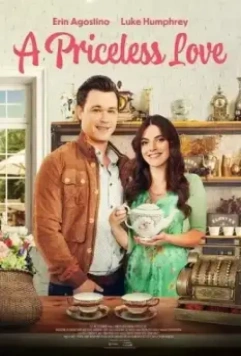 Любовь без ценника / A Priceless Love (2022)