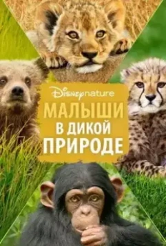 Малыши в дикой природе / Growing Up Wild (2016)