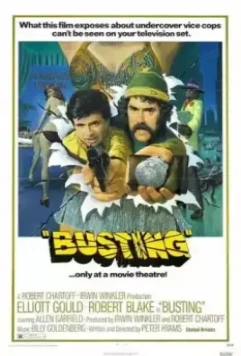 Ещё один арест / Busting (1974)