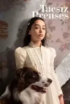 Принцесса без короны / Taçsiz Prenses (2023)