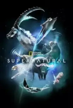 Сверх/Естественное / Super/Natural (2022)