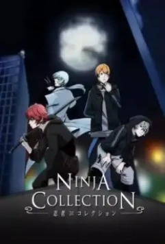 Коллекция ниндзя / Ninja Collection (2020)