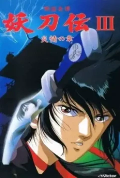 Гнев ниндзя OVA / Sengoku Kitan Youtouden (1987)