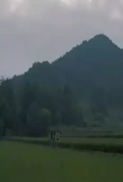 Кадр из Короткие каникулы (2020) Кадр из Короткие каникулы (2020)