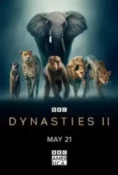 Династии II / Dynasties II (2022)
