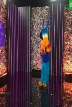 Кадр из Маска (2020) Кадр из Маска (2020)