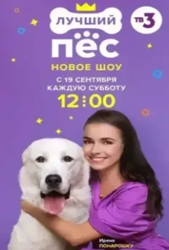 Лучший пёс (2020)