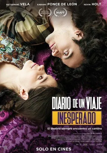 По следам дневника / Diario de un viaje inesperado (2023)