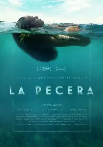 Аквариум / La Pecera (2024)