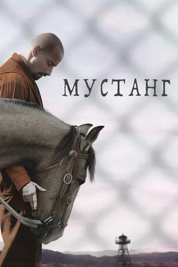 Мустанг / The Mustang (2019)